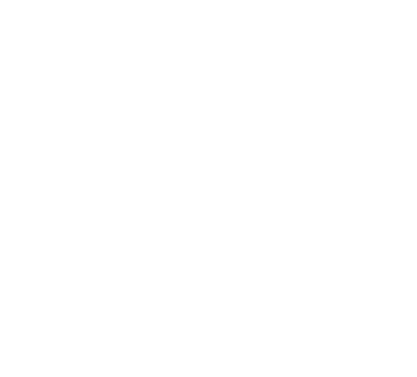 MEGA Aviation